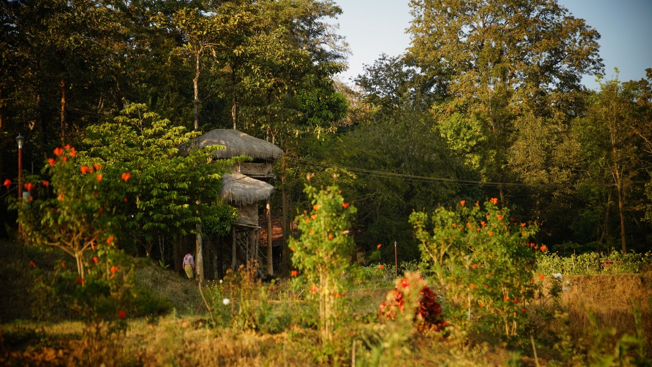 Photo of Outdoor in Kaimane