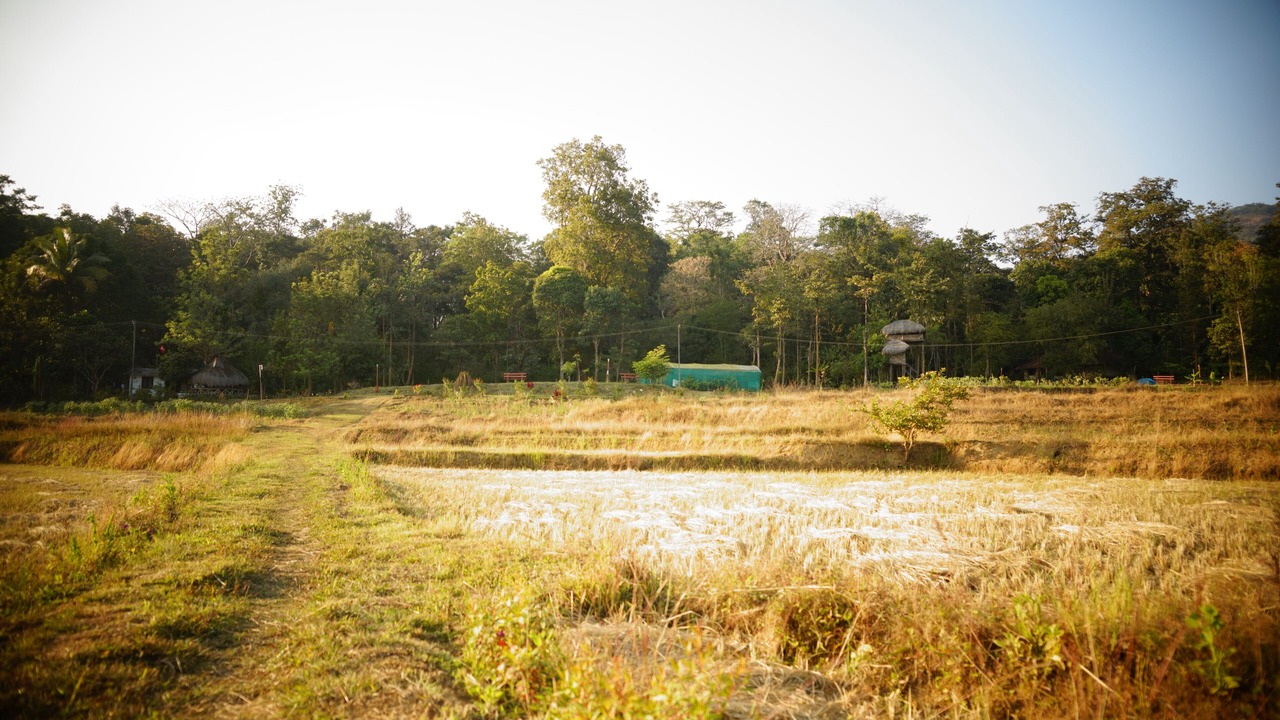 Photo of Outdoor in Kaimane