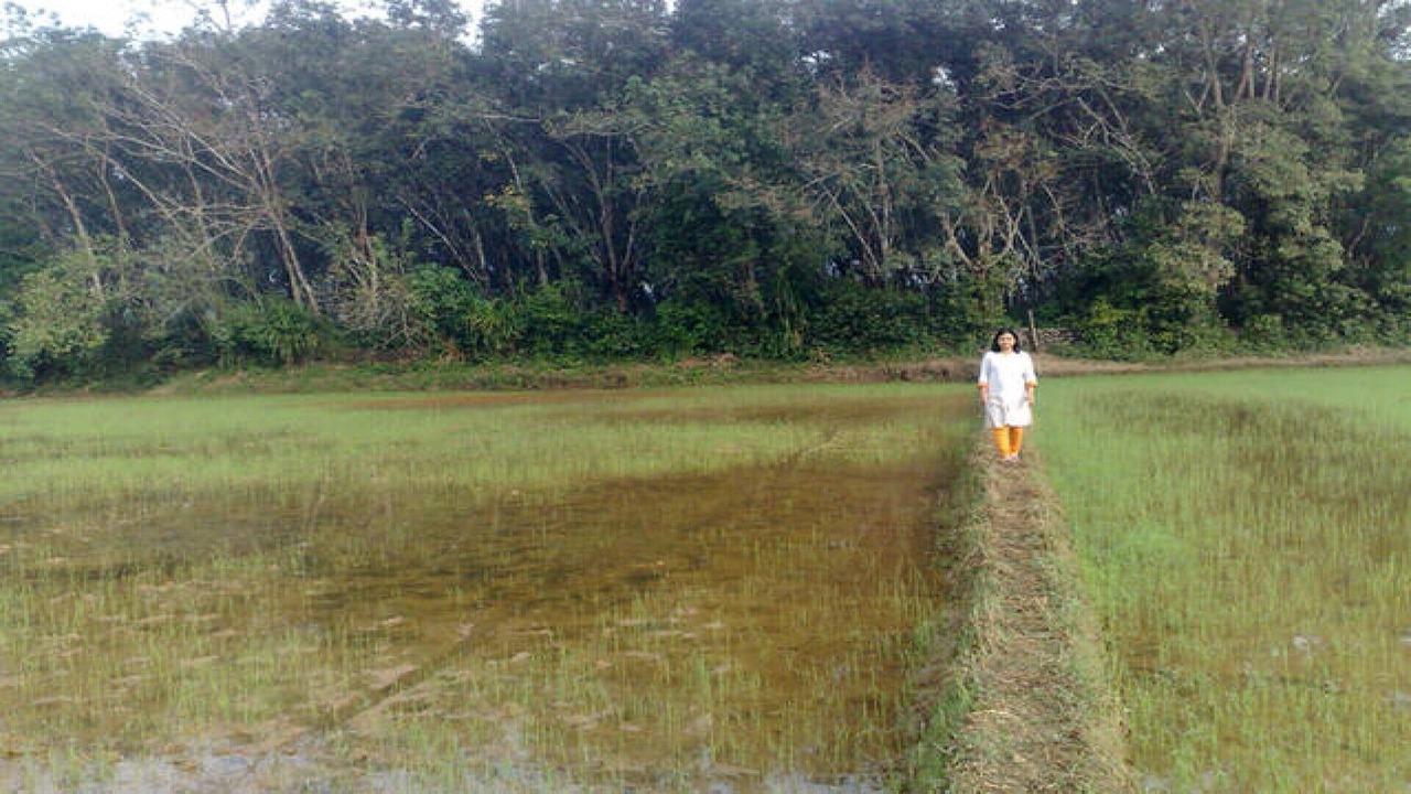 Photo of Others in Arpookara