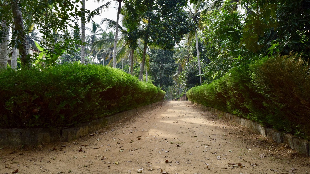 Photo of Outdoor in Neyyattinkara