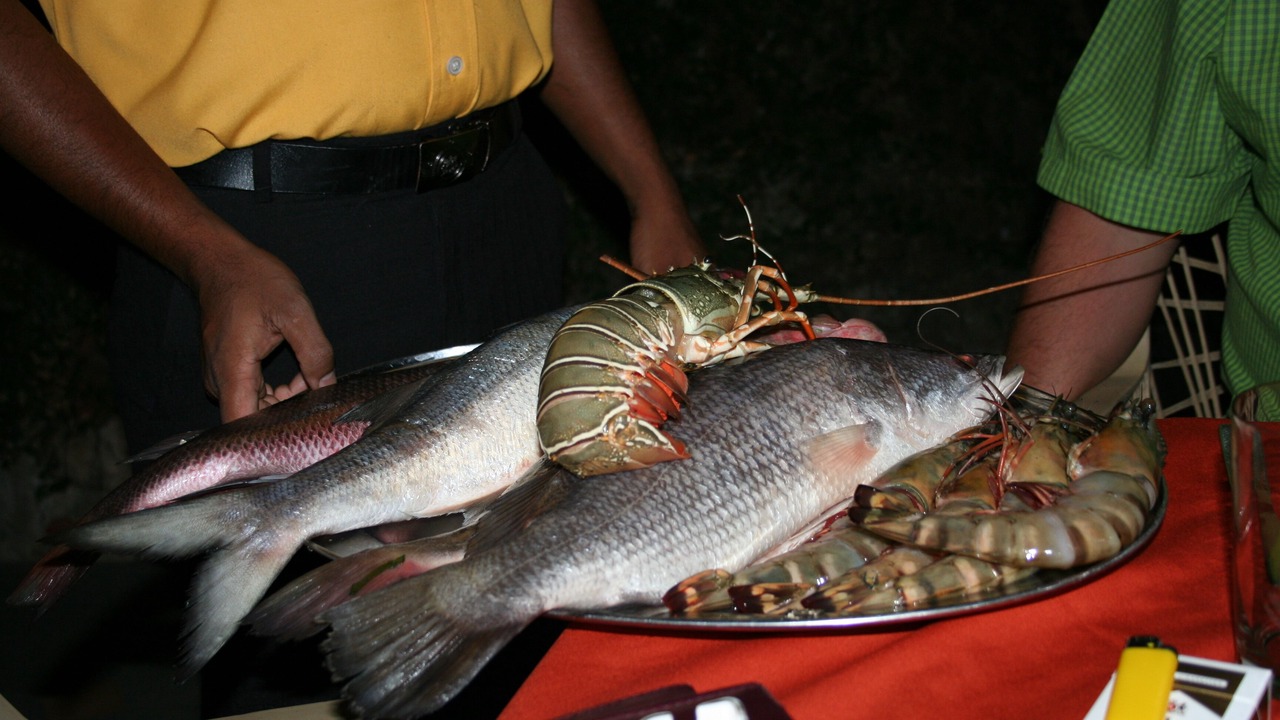 Photo of Others in Varca