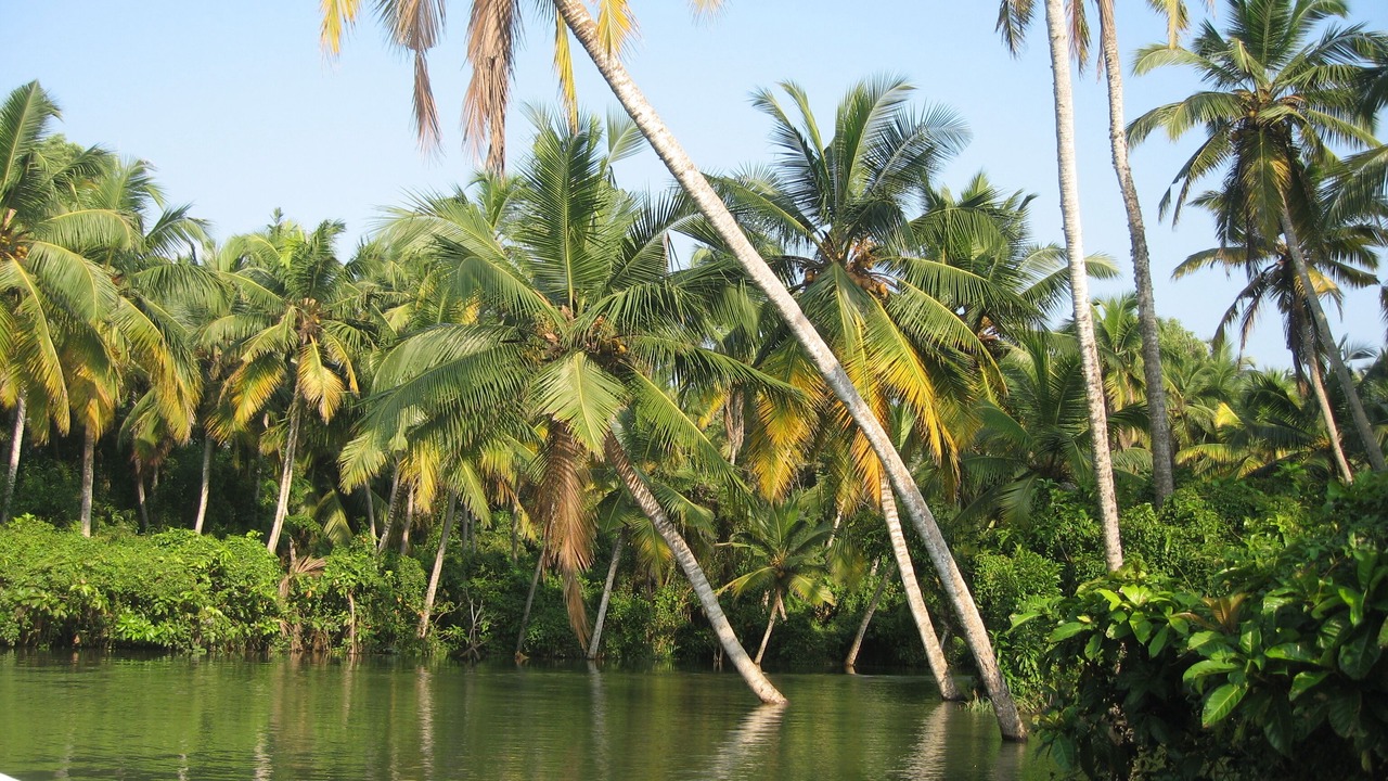 Photo of Outdoor in Venganoor