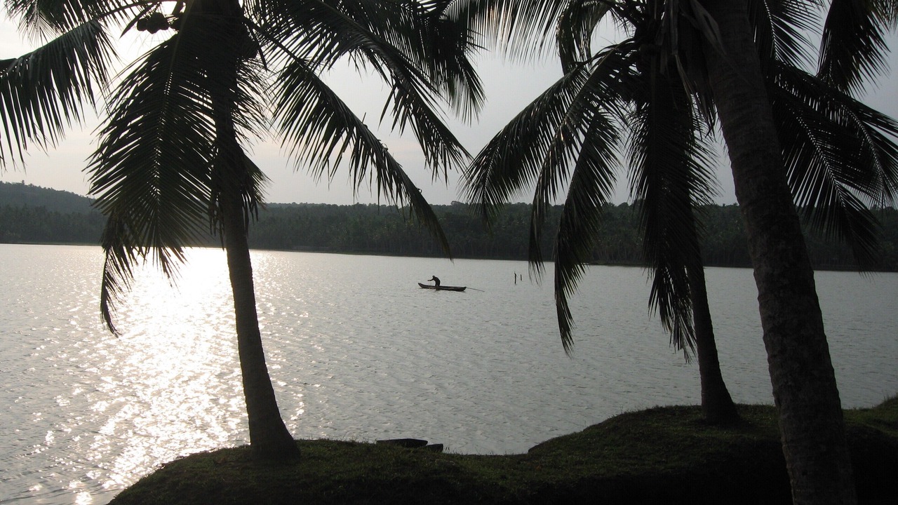 Photo of Outdoor in Venganoor