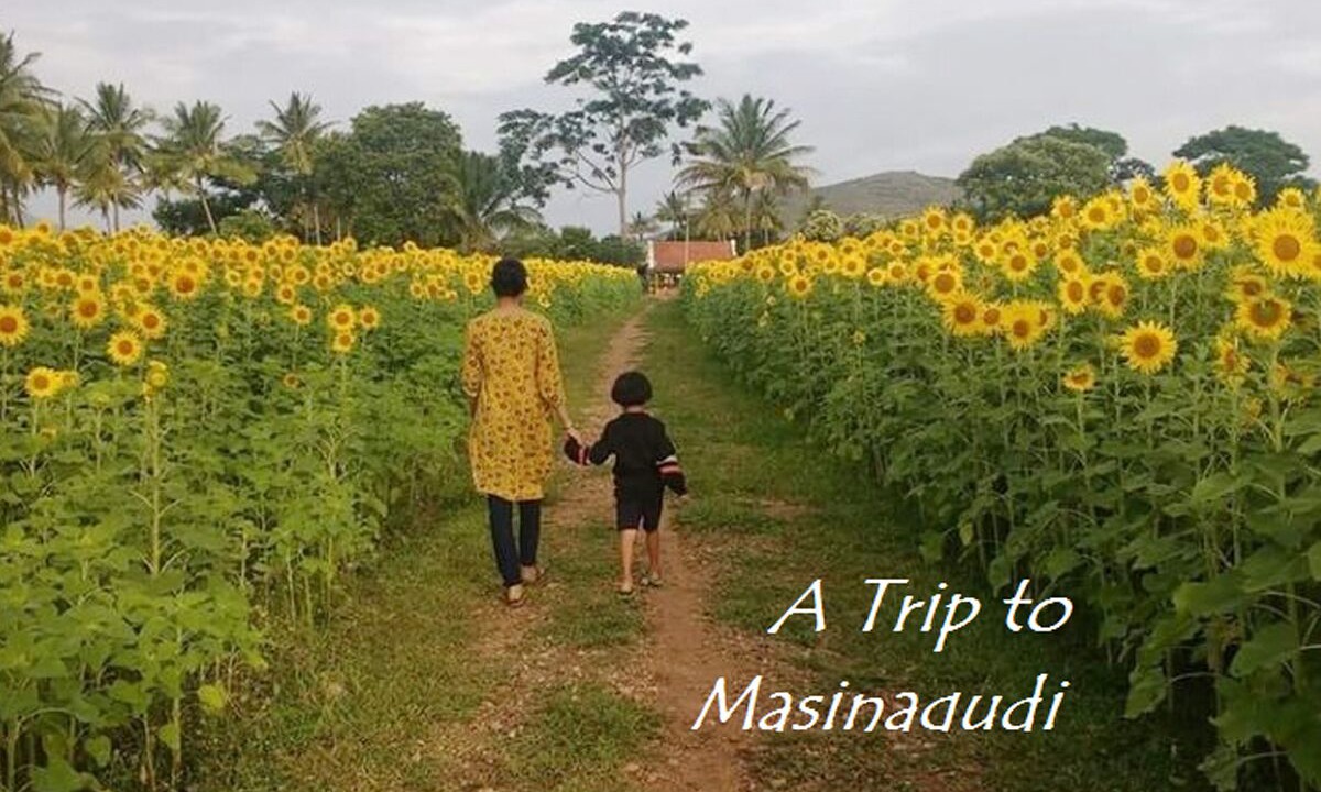 Photo of Outdoor in Masinagudi
