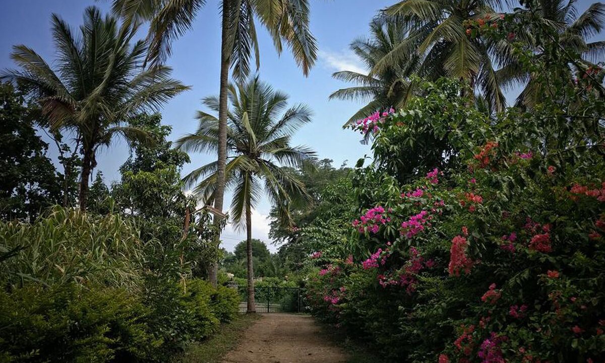 Photo of Outdoor in Masinagudi