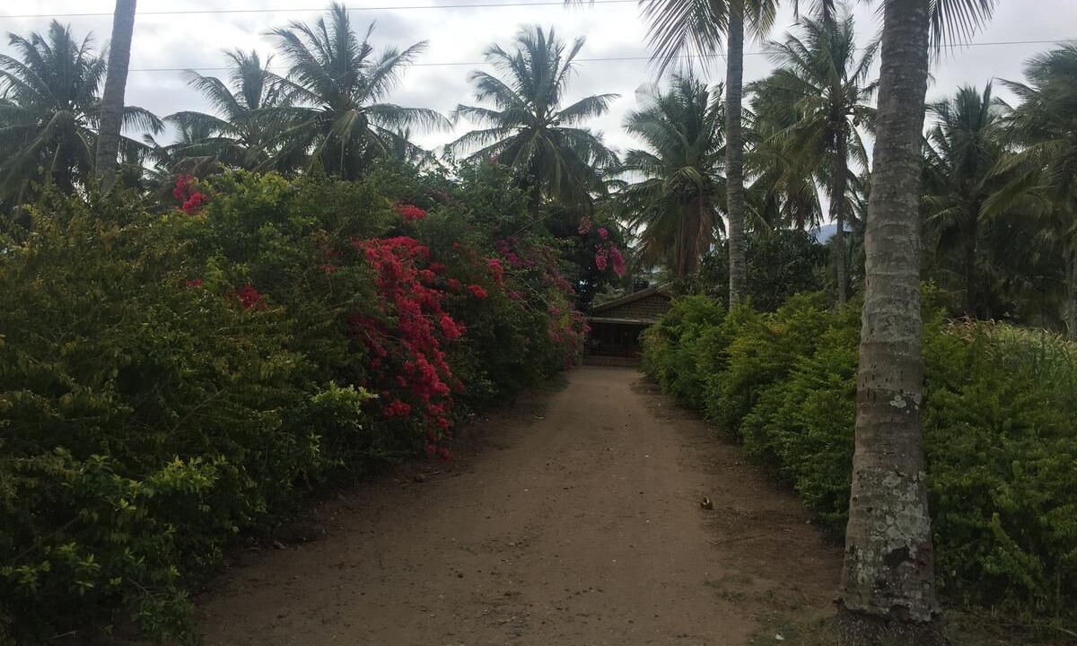 Photo of Outdoor in Masinagudi