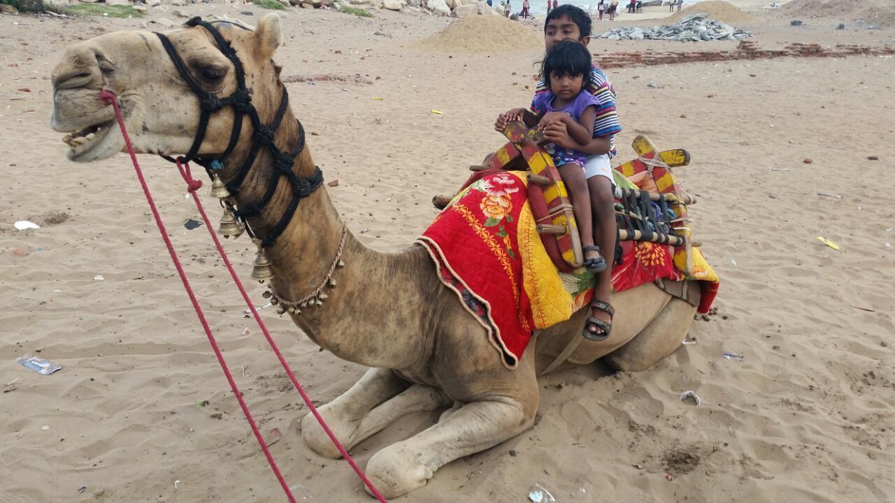 Photo of Others in Tranquebar