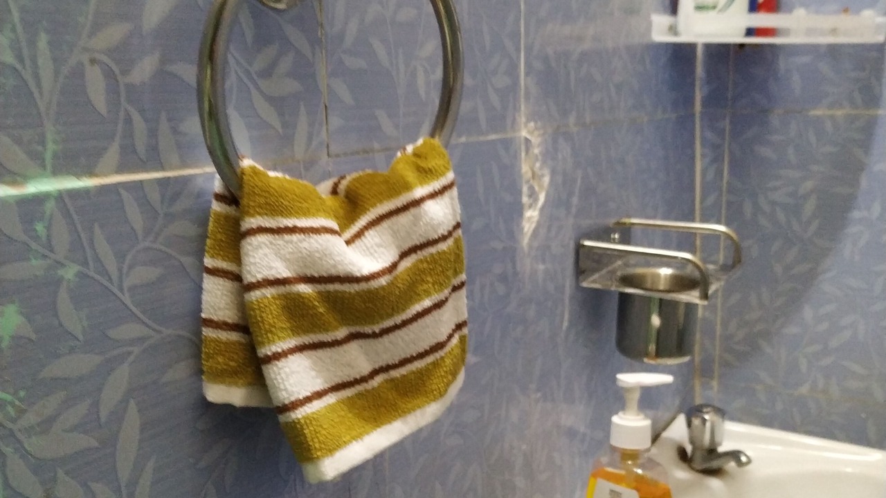 Photo of Bathroom in Mayapur