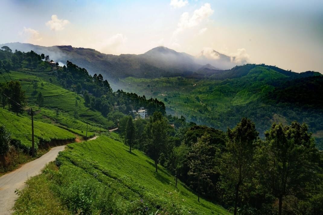 Photo of Outdoor in Pallivasal