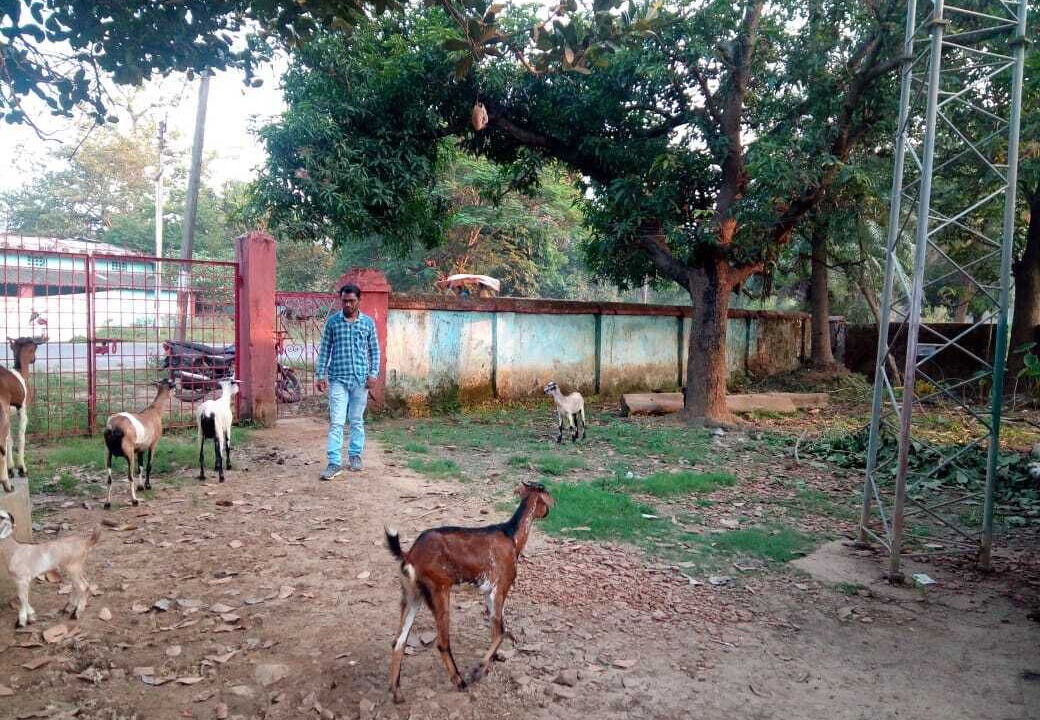 Photo of Outdoor in Dantewara
