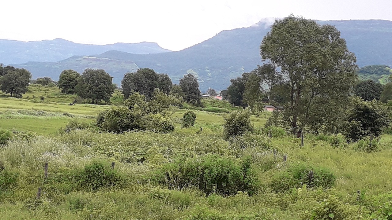 Photo of Others in Karjat