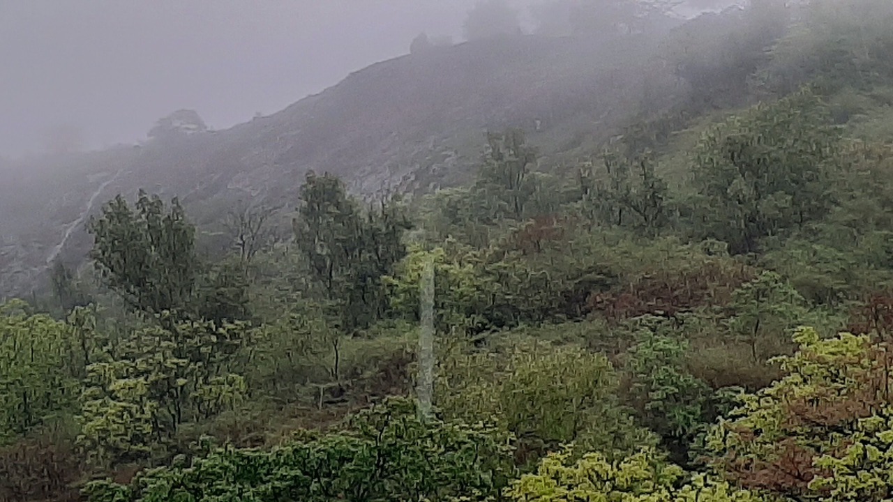 Photo of Outdoor in Lonavala