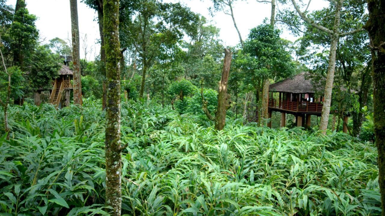 Photo of Outdoor in Vandanmedu