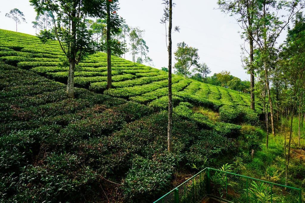 Photo of Outdoor in Devikolam