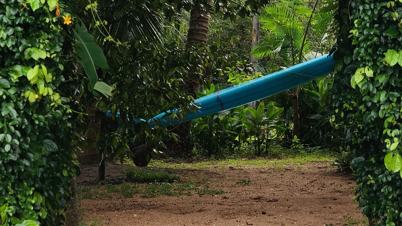 Photo of Outdoor in Kadalundi