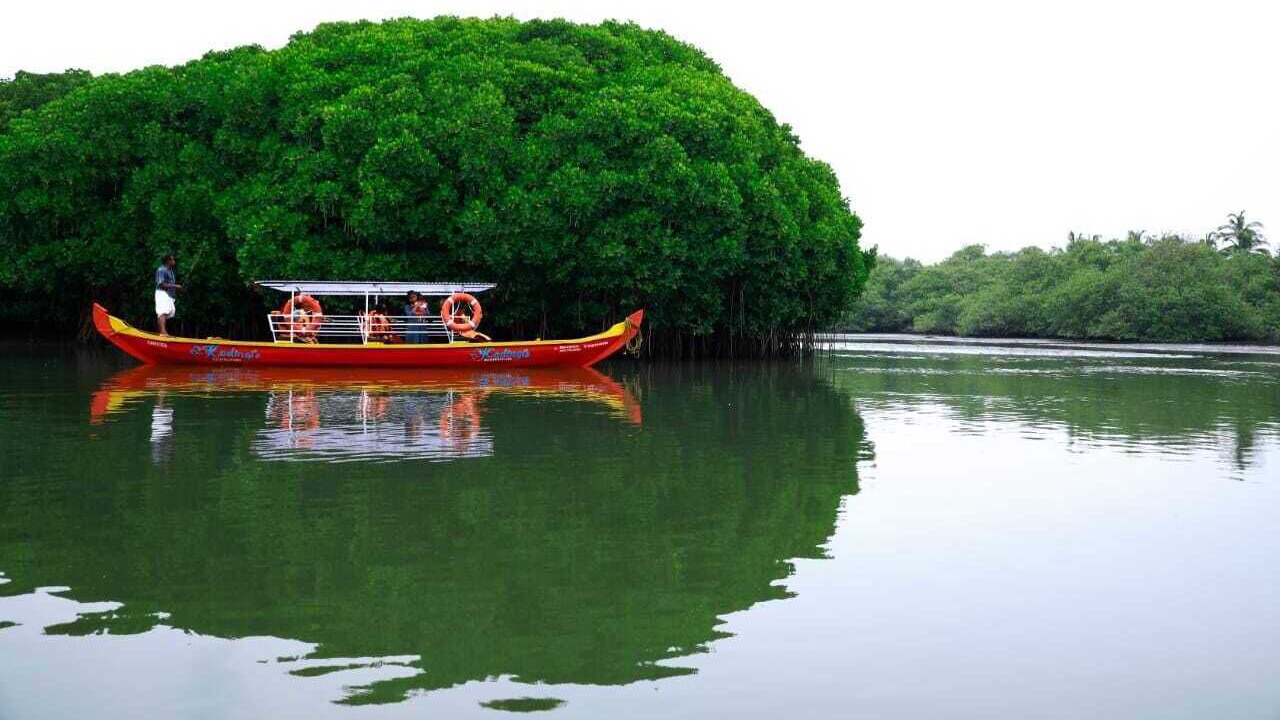 Photo of Others in Kadalundi