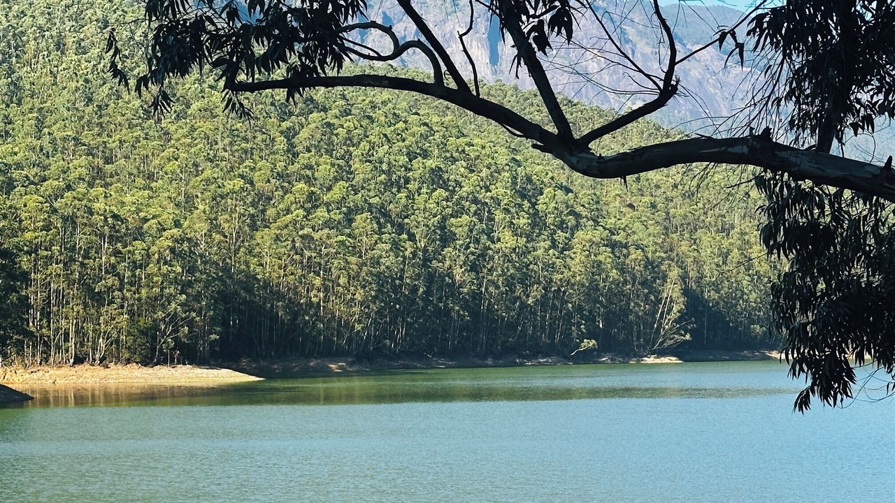 Photo of Others in Todupulai