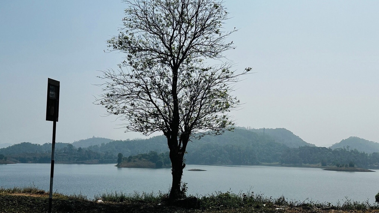 Photo of Others in Todupulai