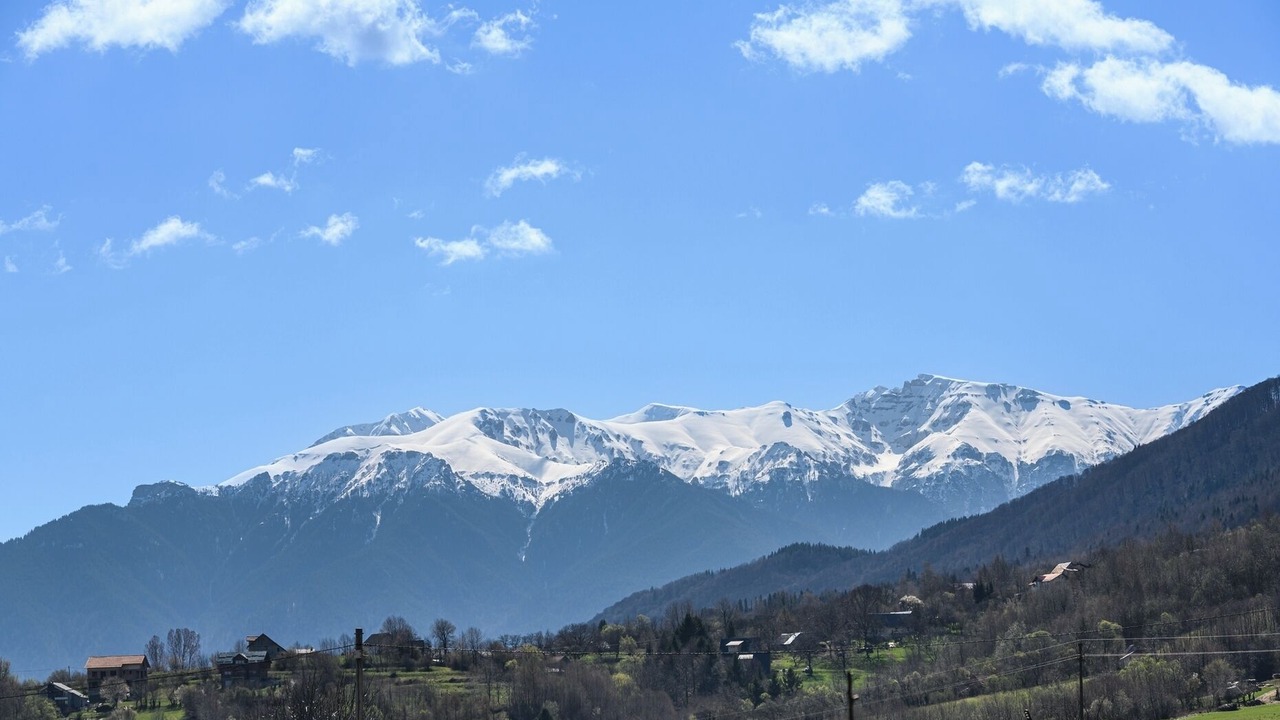 Photo of Others in Zarnesti