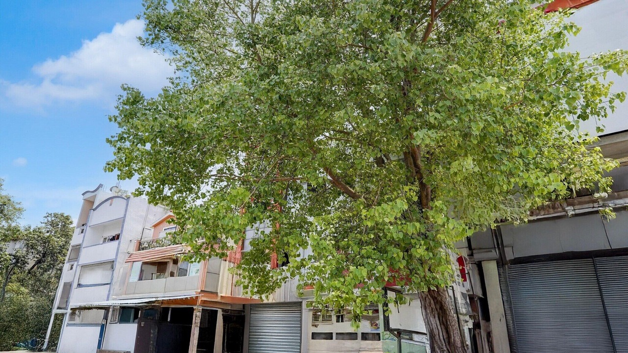 Photo of Outdoor in Central Chennai