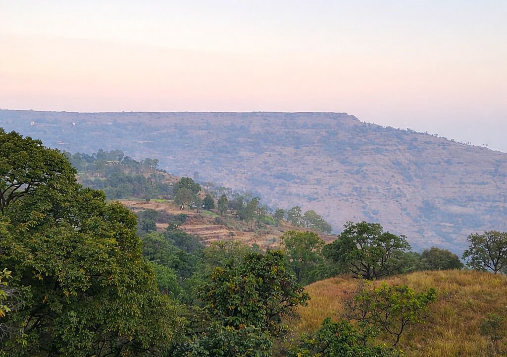 Photo of Others in Mahabaleshwar