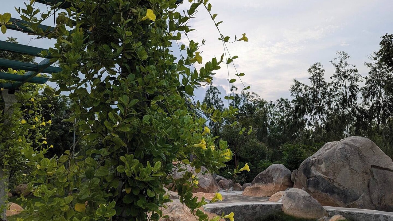Photo of Outdoor in Bhongir
