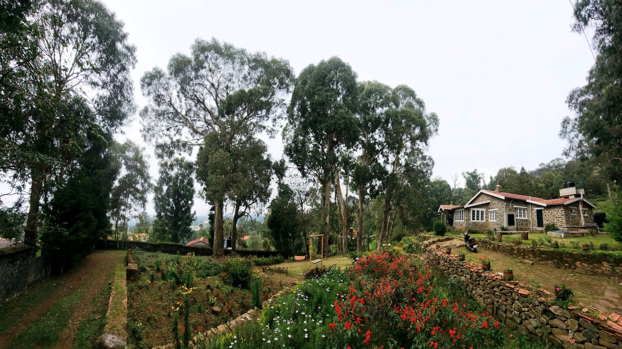 Photo of Outdoor in Kodaikanal
