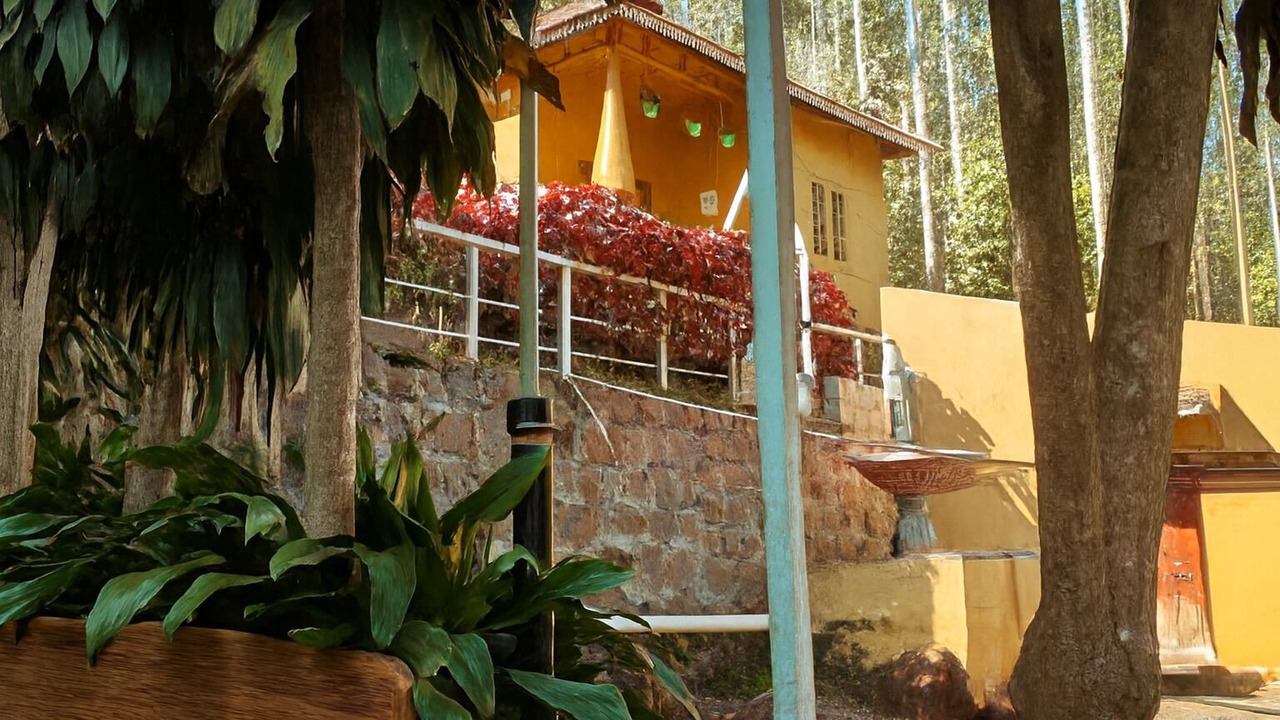 Photo of Outdoor in Yercaud