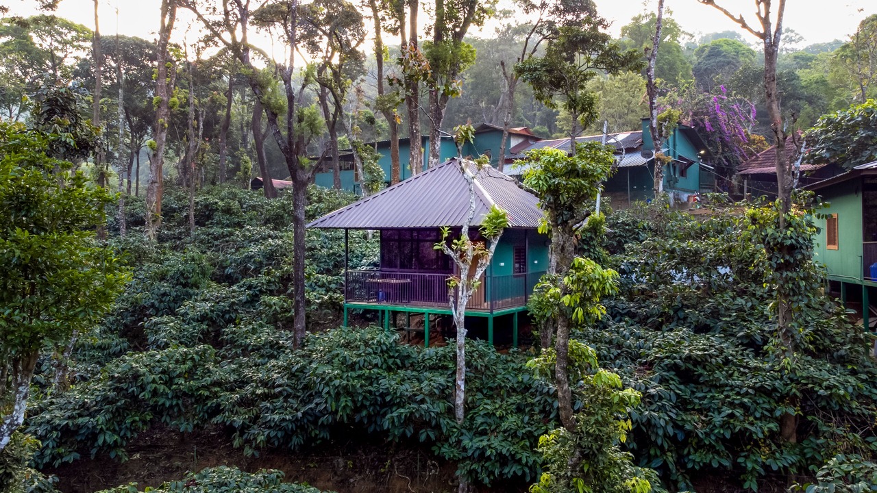 Photo of Outdoor in Chittur