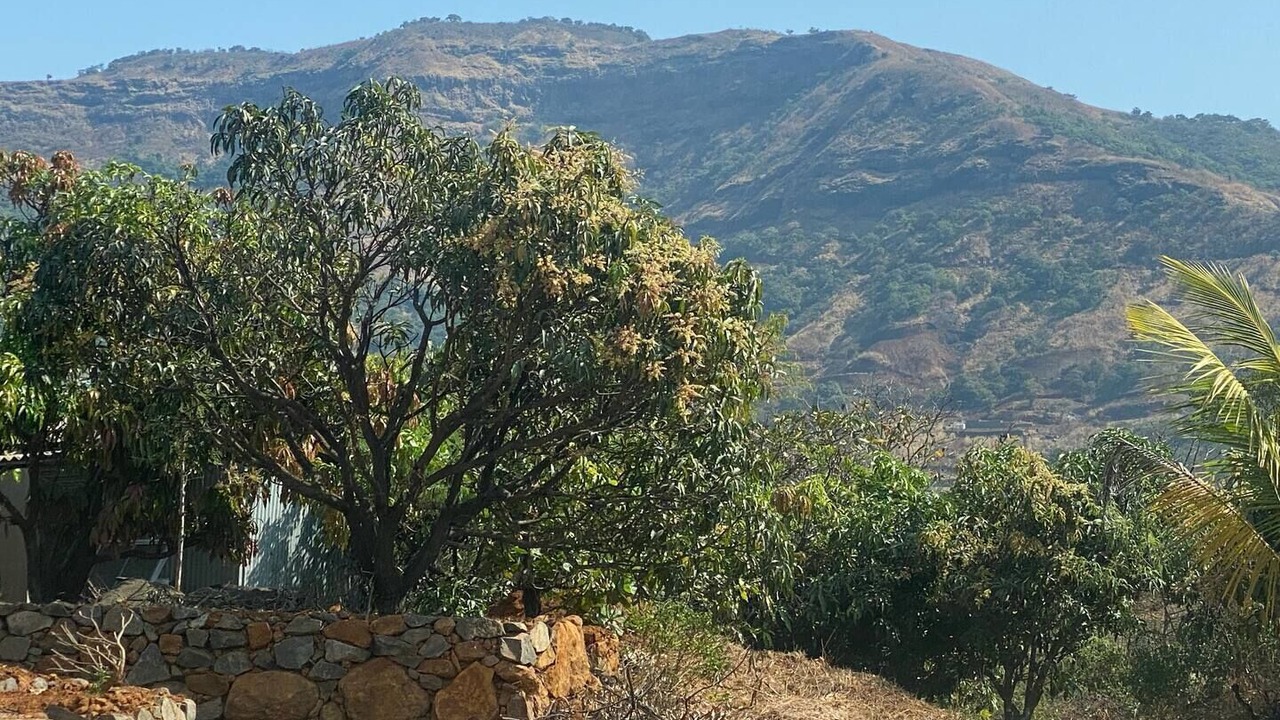 Photo of Others in Paud