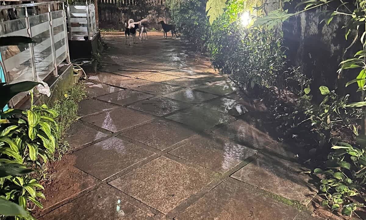 Photo of Outdoor in Gauravaddo