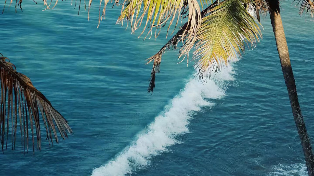 Photo of Others in Varkala