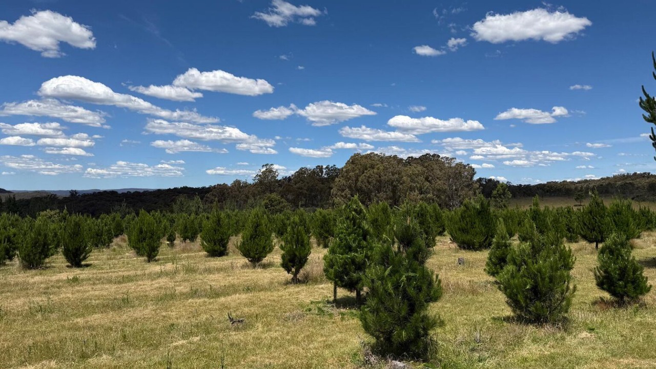 Photo of Others in Bungonia