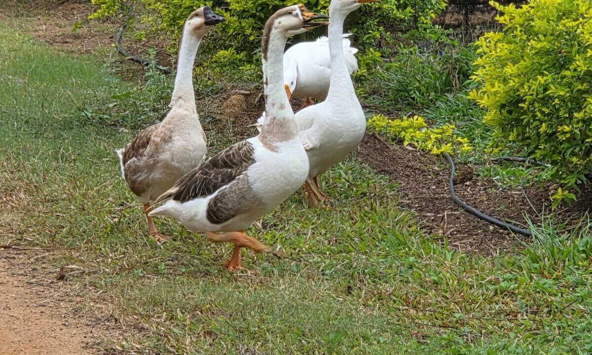 Photo of Others in Madurantakam