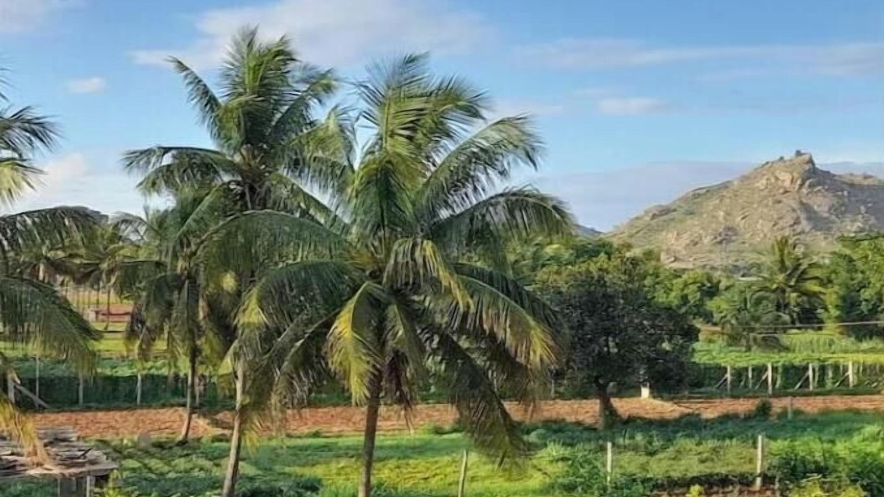 Photo of Others in Chikkaballapur
