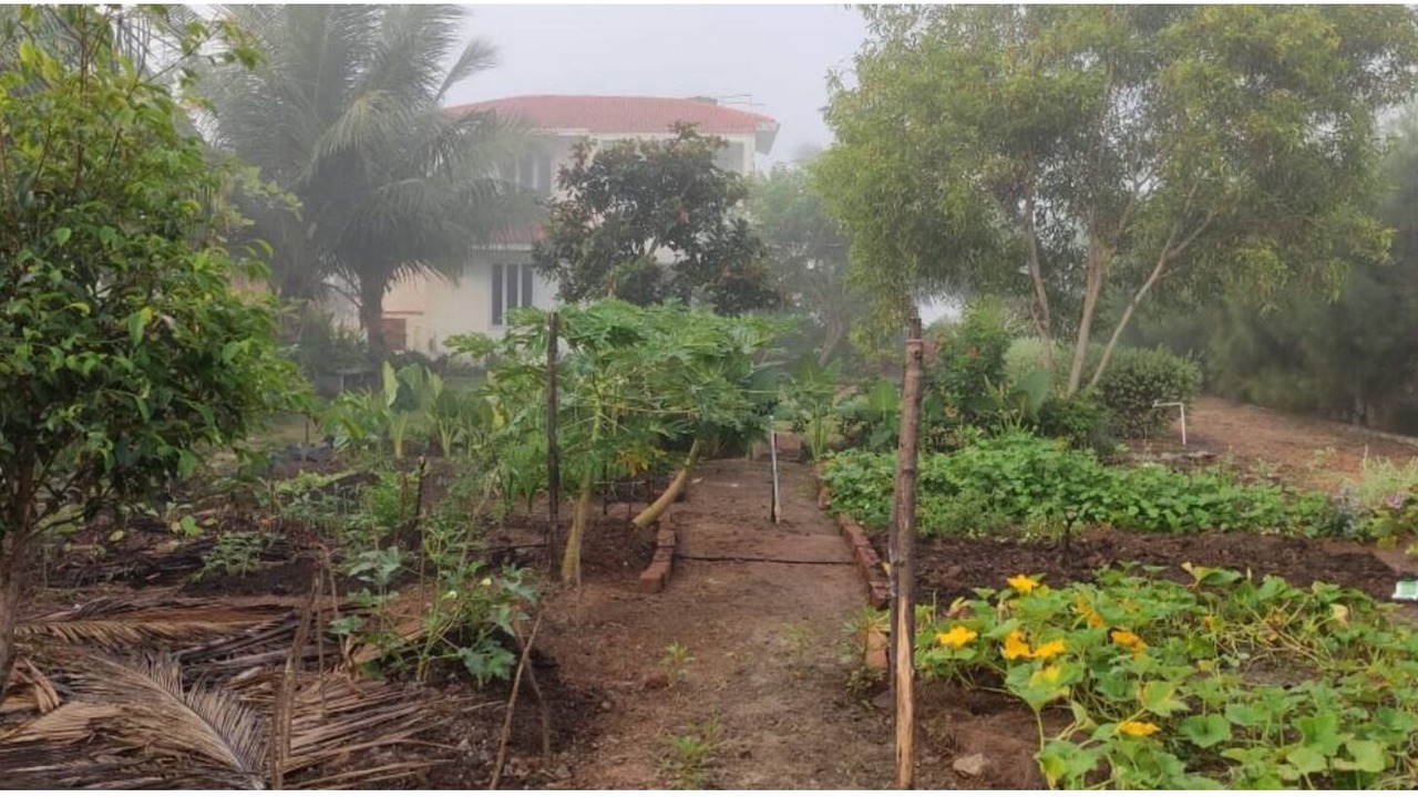Photo of Outdoor in Mandavi