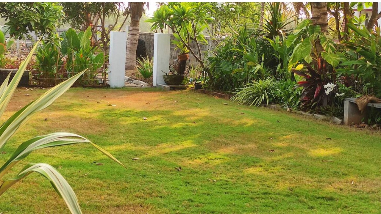 Photo of Outdoor in Mandavi