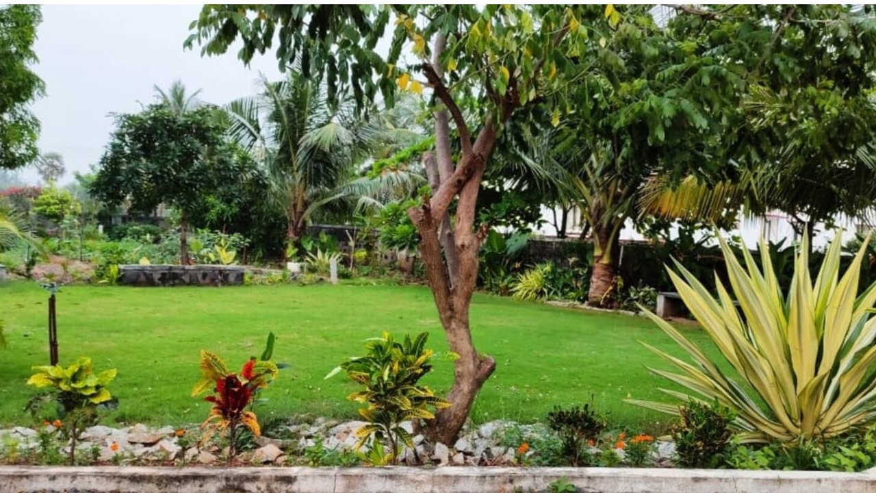 Photo of Outdoor in Mandavi