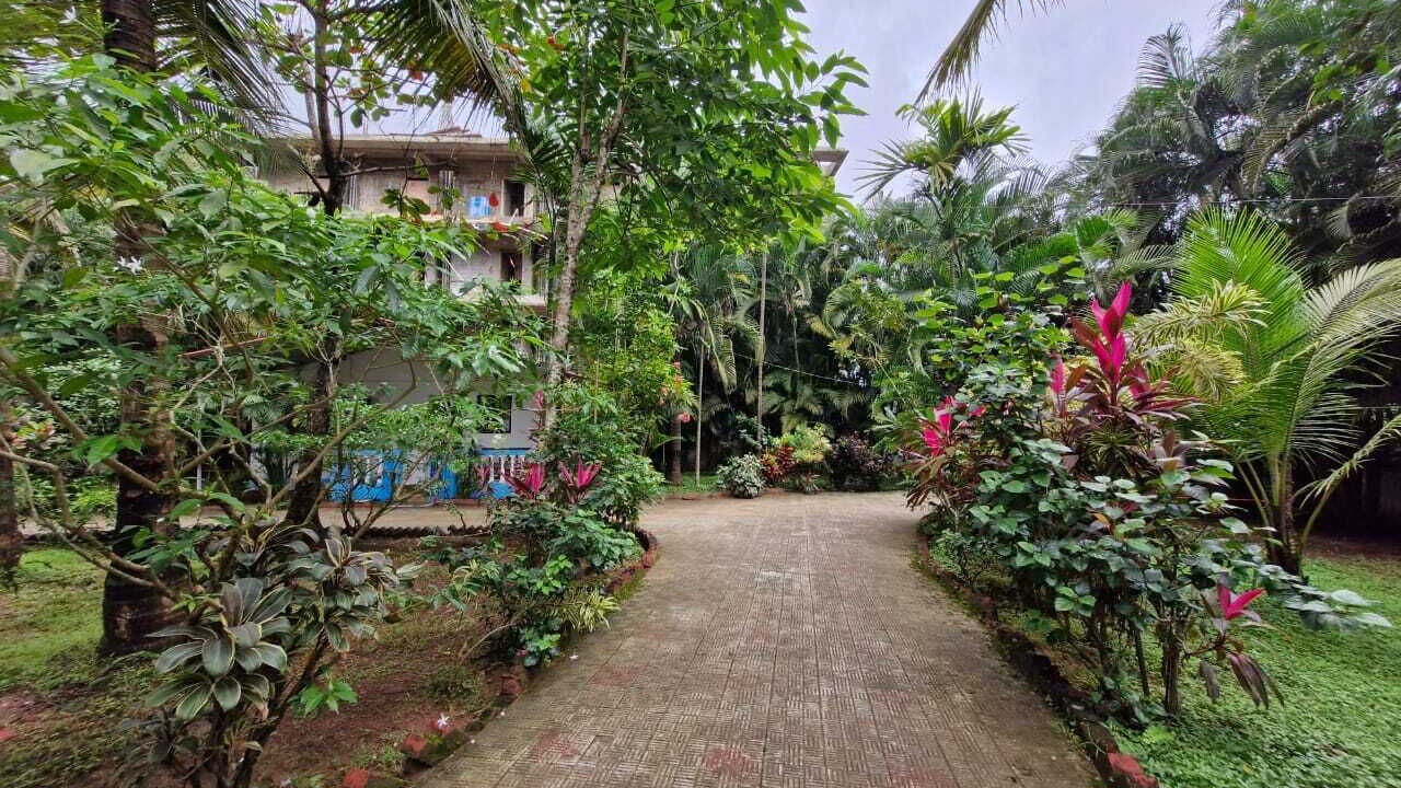 Photo of Outdoor in Palolem