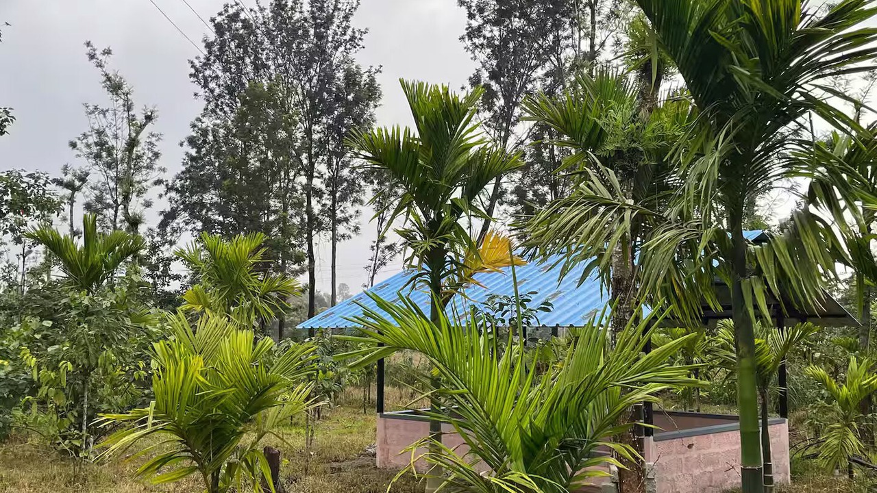 Photo of Outdoor in Piriyapatna
