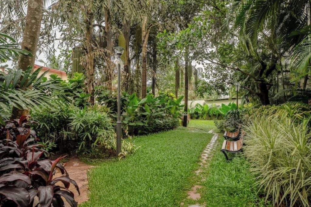 Photo of Outdoor in Siolim