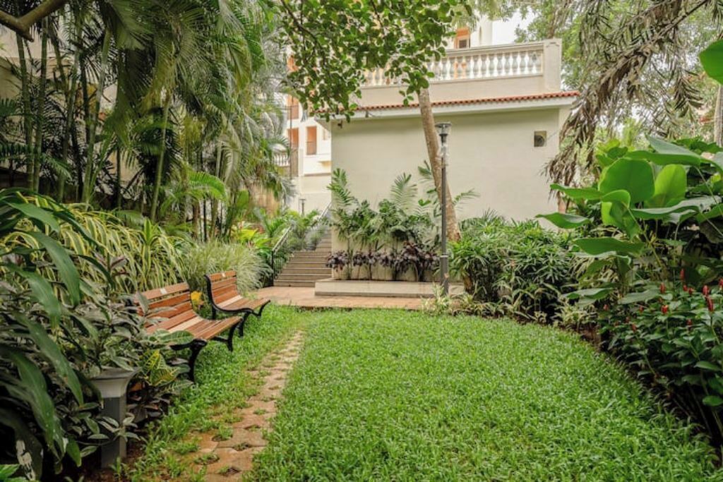 Photo of Outdoor in Siolim