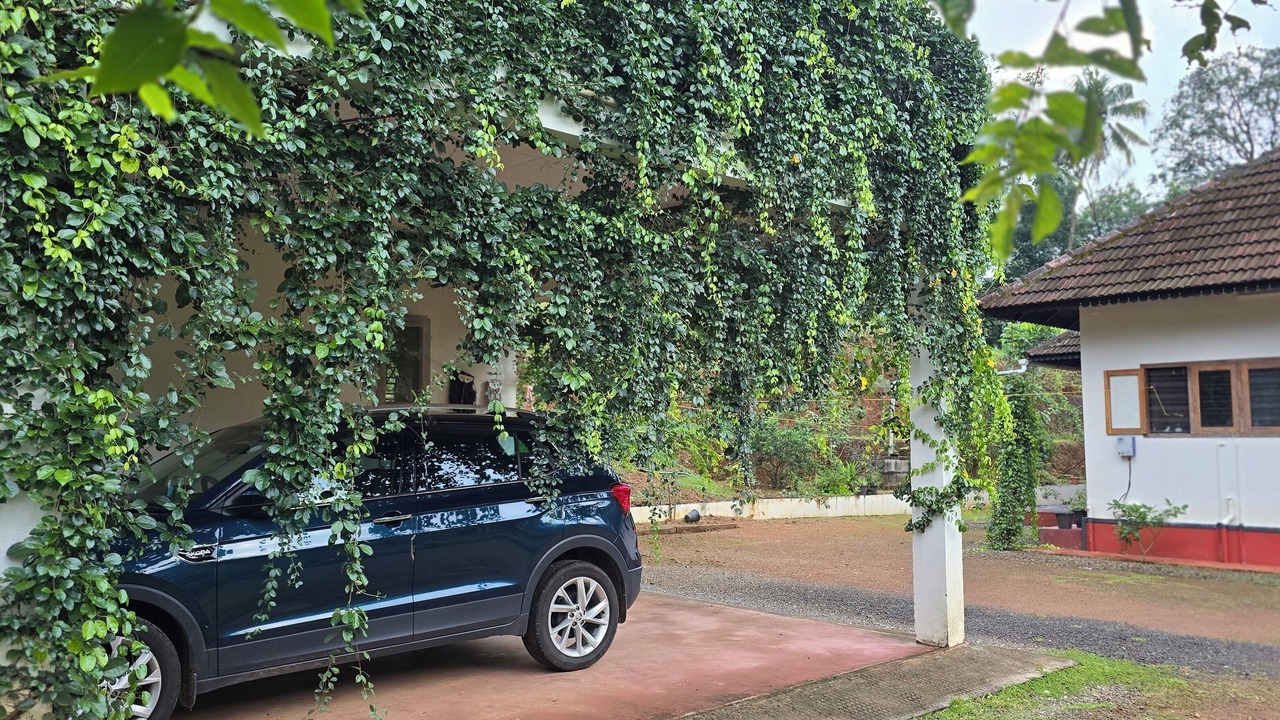 Photo of Outdoor in Todupulai