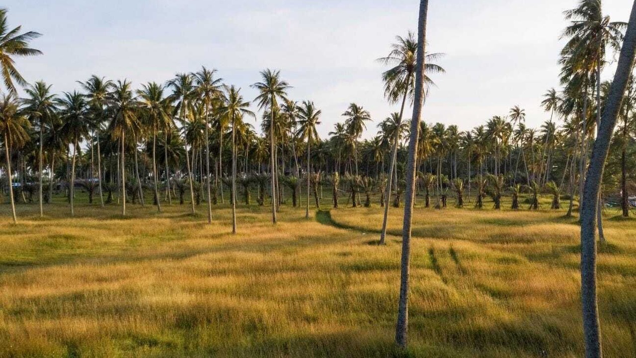 Photo of Outdoor in Vastare