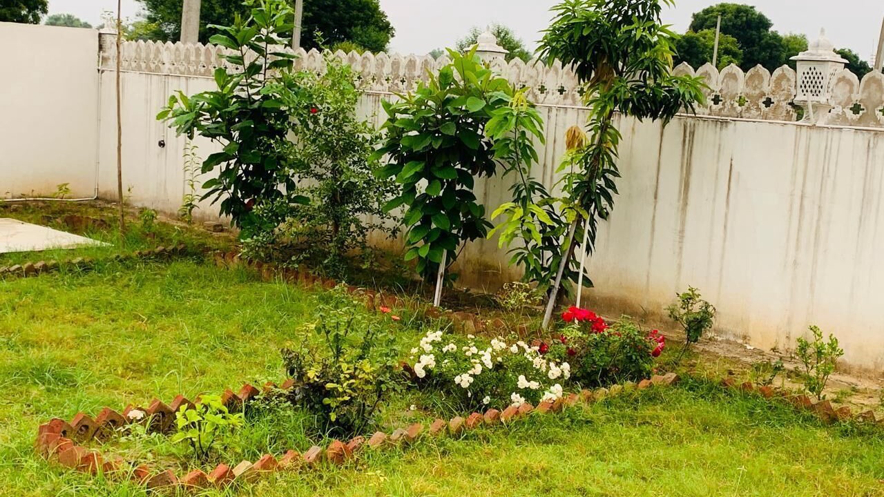 Photo of Outdoor in Jaipur