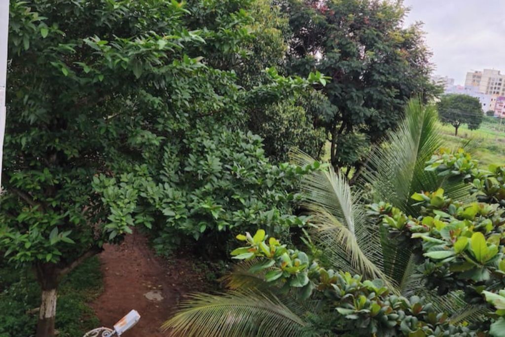 Photo of Outdoor in Agara