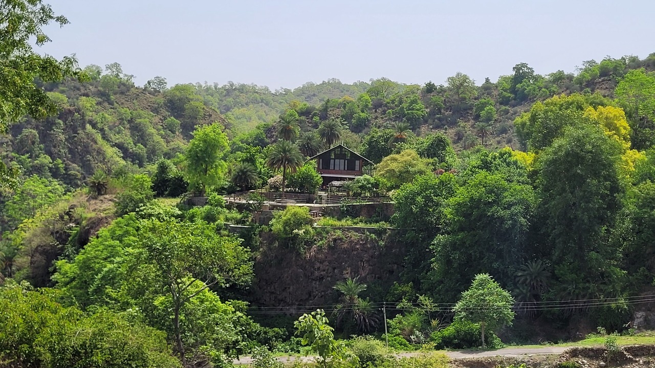 Photo of Others in Udaipur