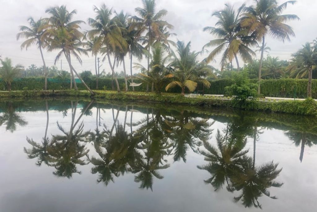 Photo of Others in Kumbalangi