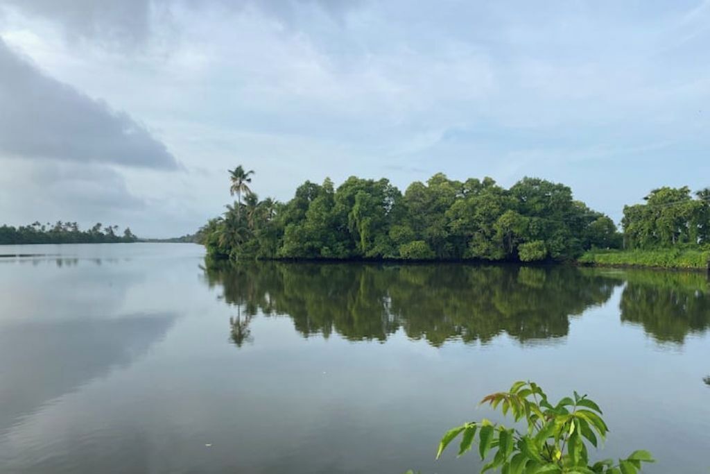 Photo of Others in Kumbalangi