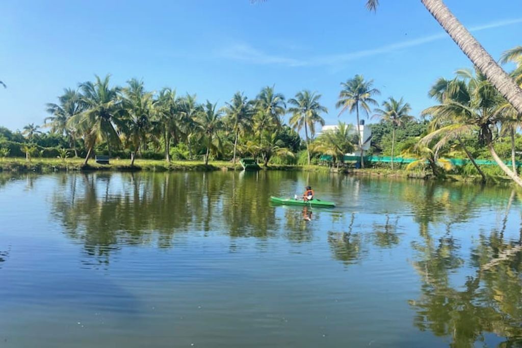 Photo of Others in Kumbalangi